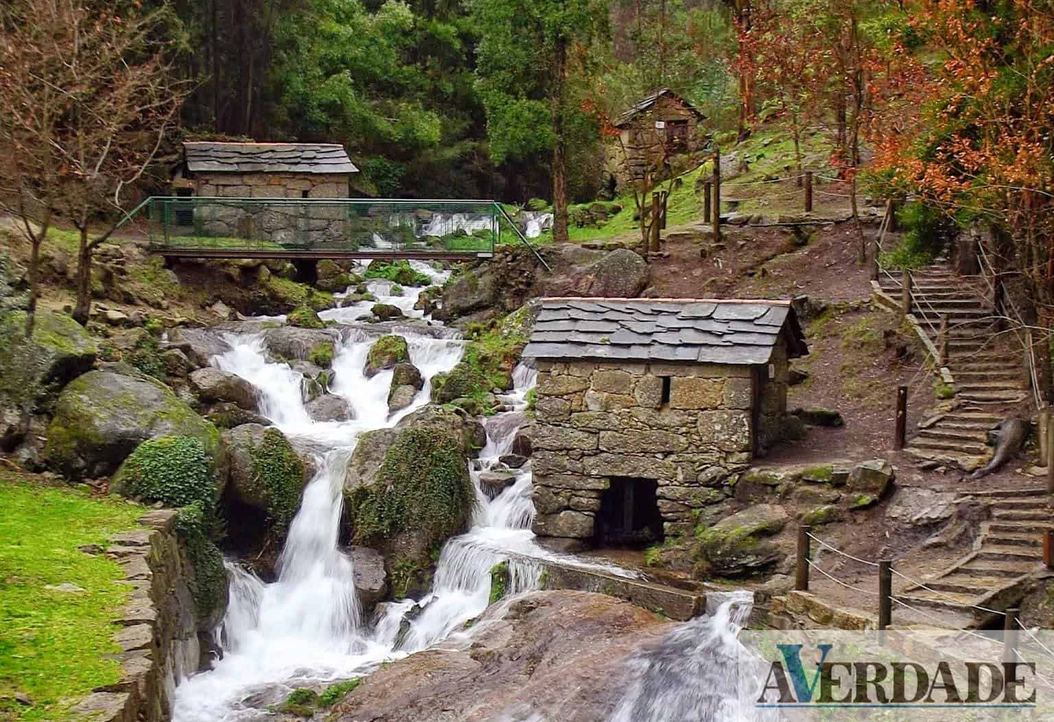 Museu da Broa convida-o a relembrar uma das tradições de Penafiel