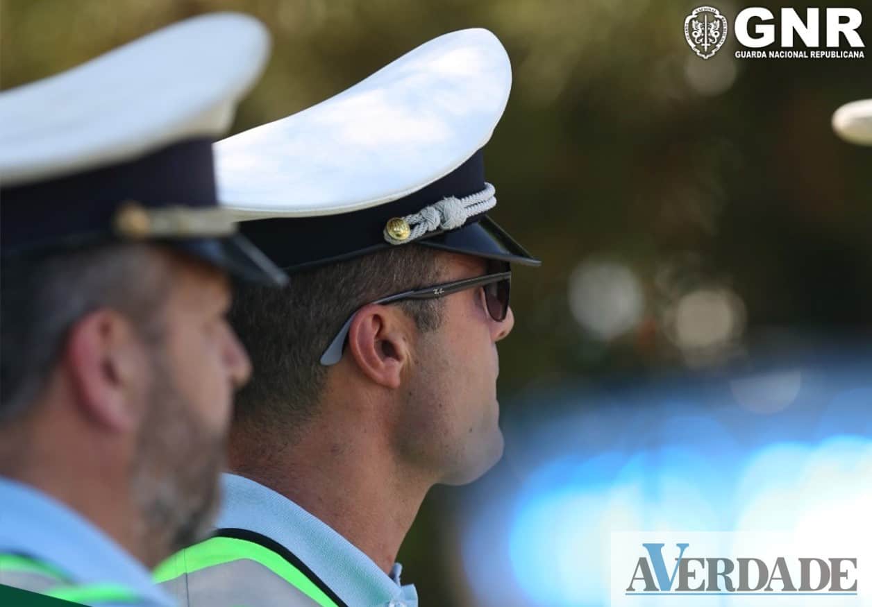 Campanha "Viajar sem pressa" registou dez vítimas mortais e 50 feridos graves