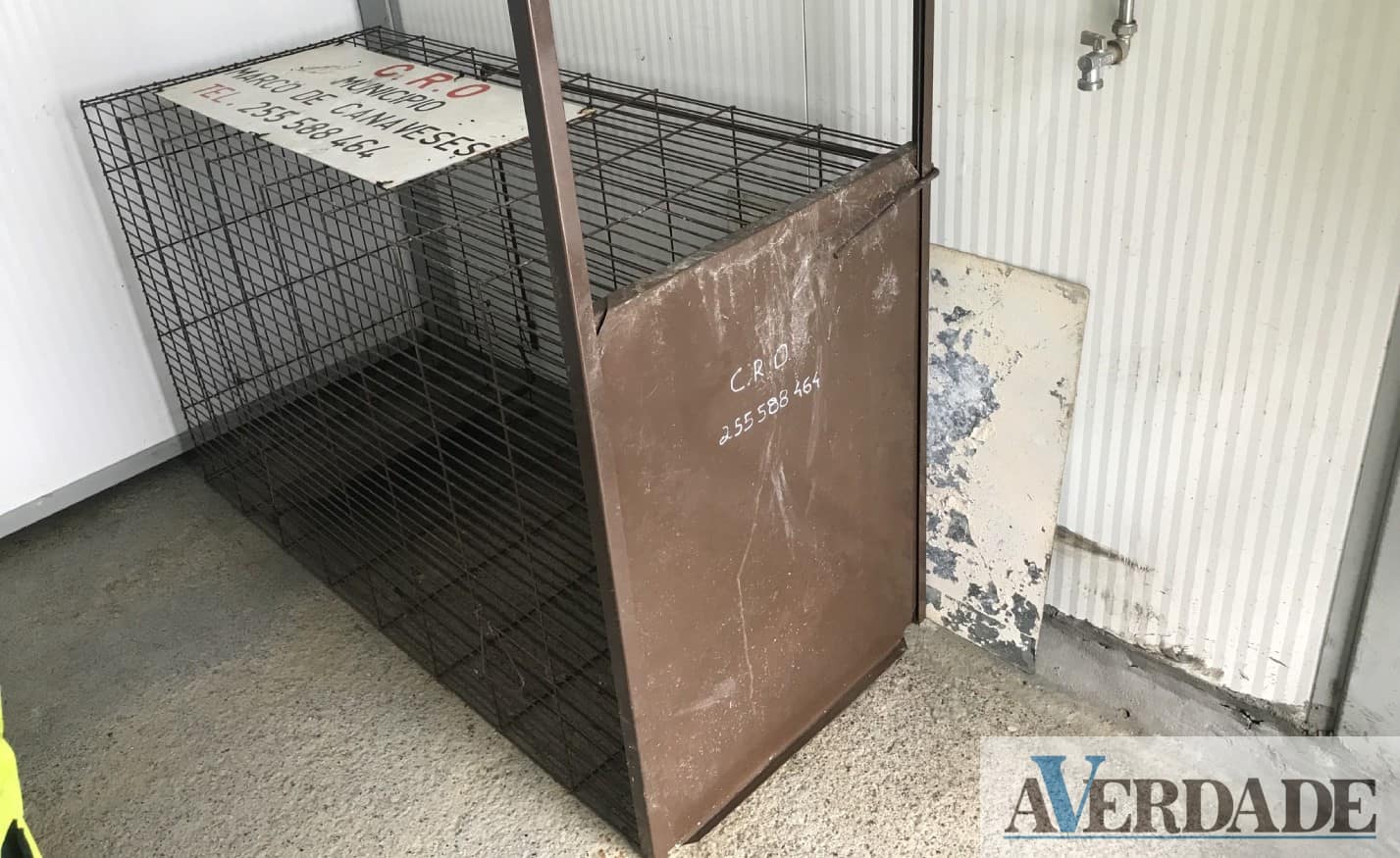 Município do Marco de Canaveses denuncia furto de armadilha para captura de cães