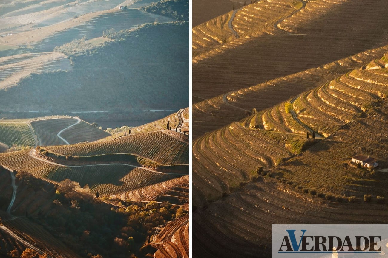 Douro Vinhateiro eleito Obra-Prima de Portugal