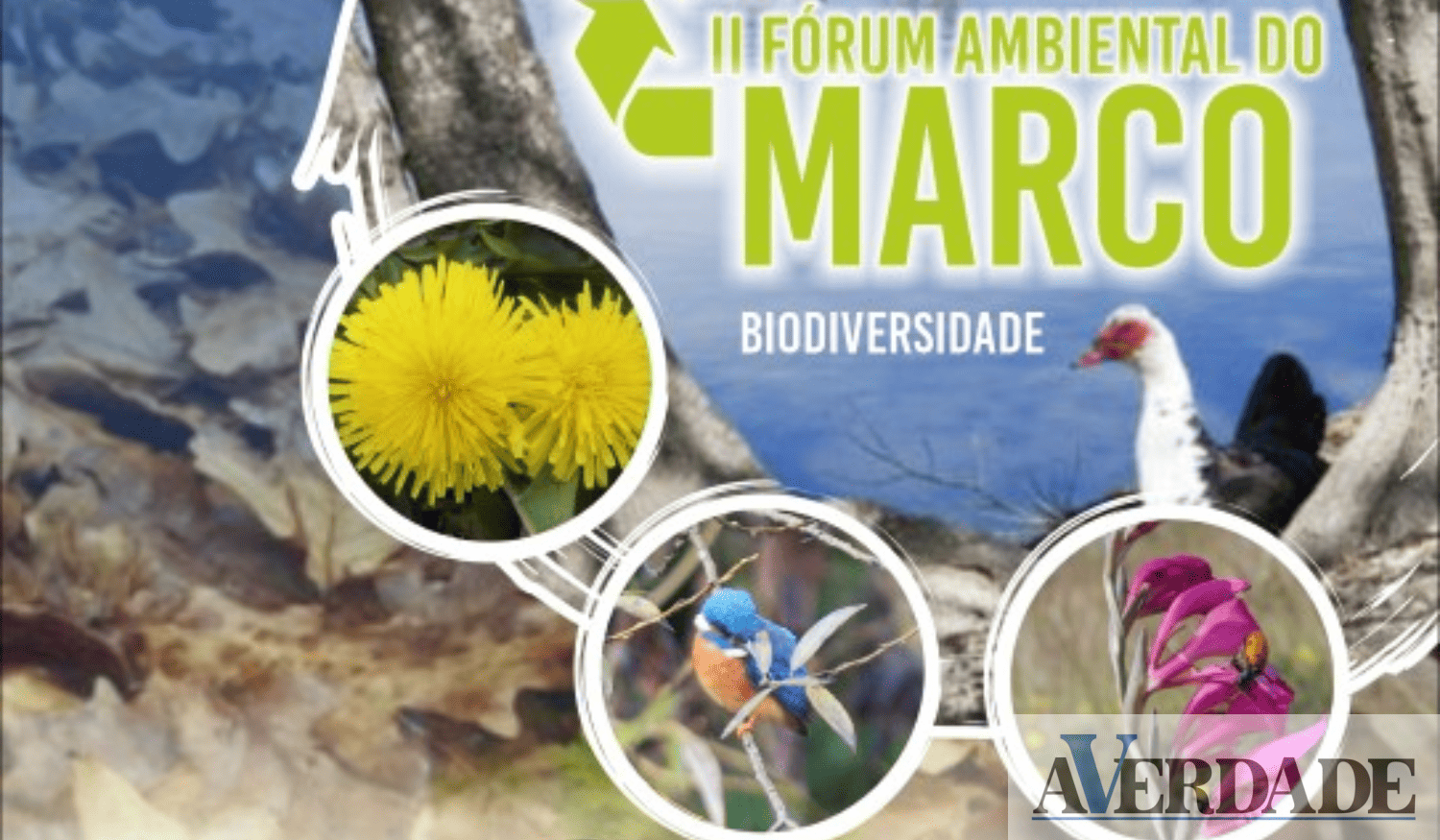 Secção de Educação Ambiental da AARO vai realizar II Fórum Ambiental do Marco
