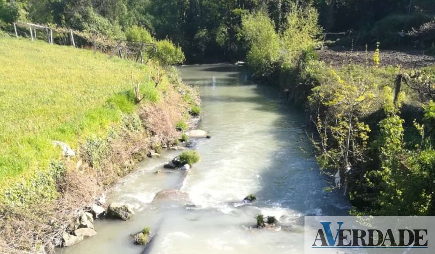 Movimento Mataram o Rio Ferreira e #MovRioDouro lamentam "ausência de ações do Governo"