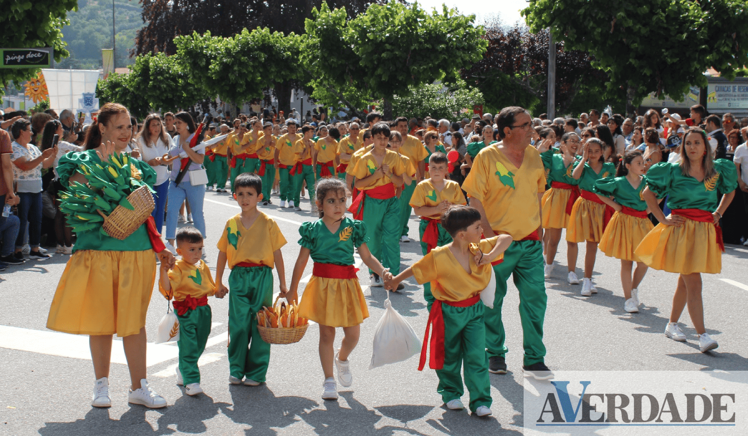 Resende: Festival da Cereja viu regresso do Cortejo Alegórico com um "caráter diferente"