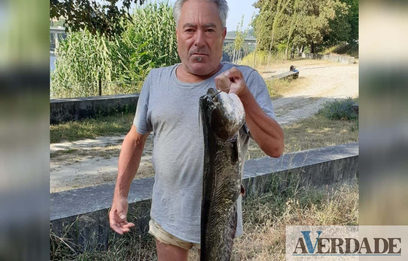 Marco de Canaveses: Júlio Teixeira pescou siluro com quase um metro em Sobretâmega
