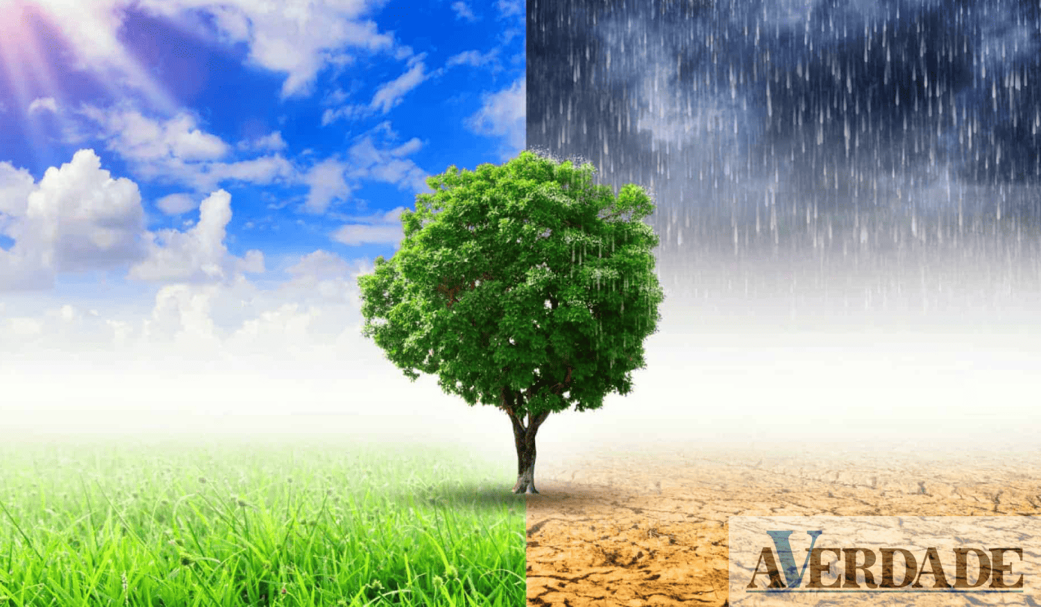 CIM do Tâmega e Sousa debate papel dos municípios no combate às alterações climáticas