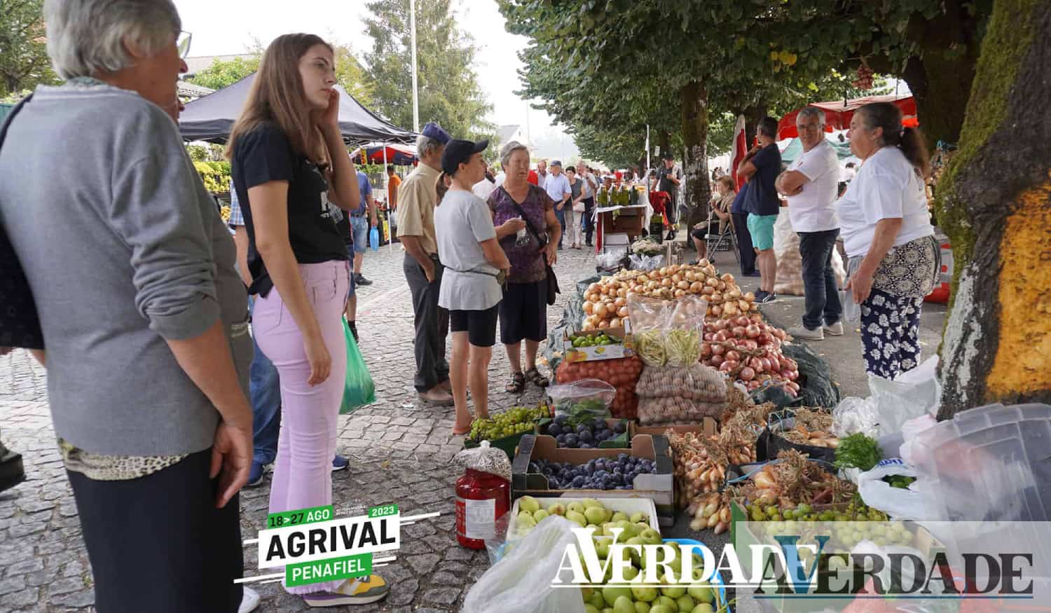 AGRIVAL: Concurso da Cebola distinguiu as melhores do ano em Penafiel