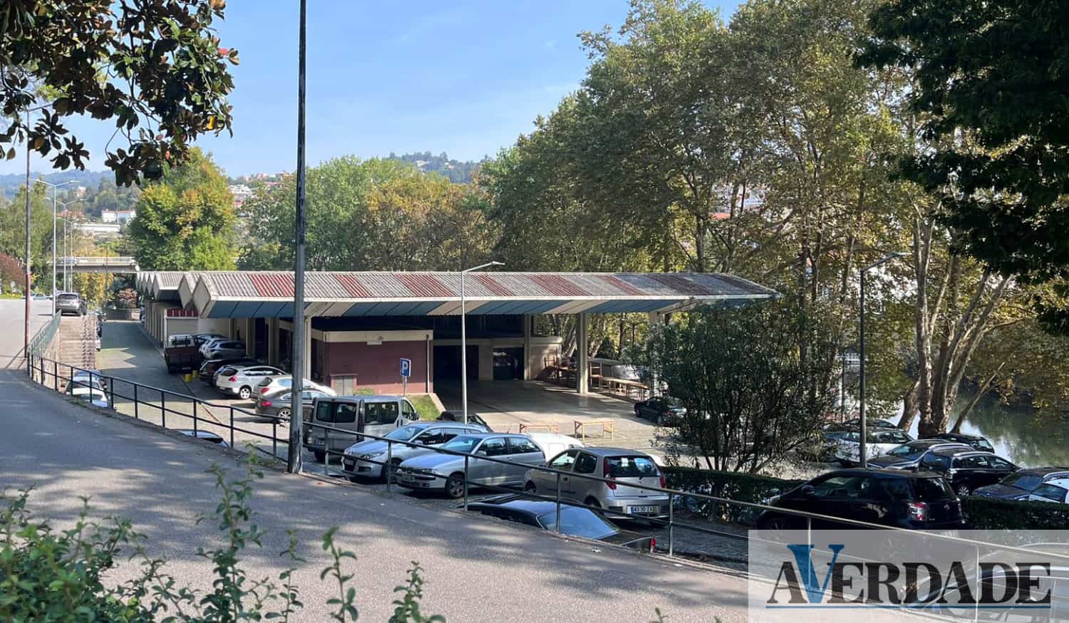 Amarante : Rastreios gratuitos vão avaliar o risco da Doença Renal Crónica