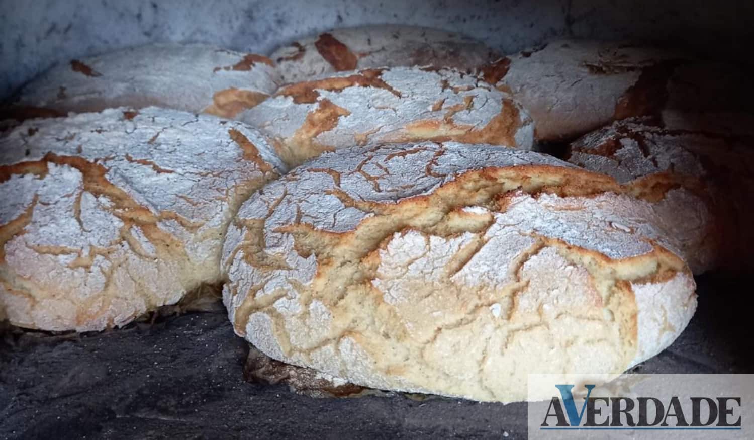 Cinfães: 'Mercadinho da Broa e do Agricultor' promete "uma edição diferente"
