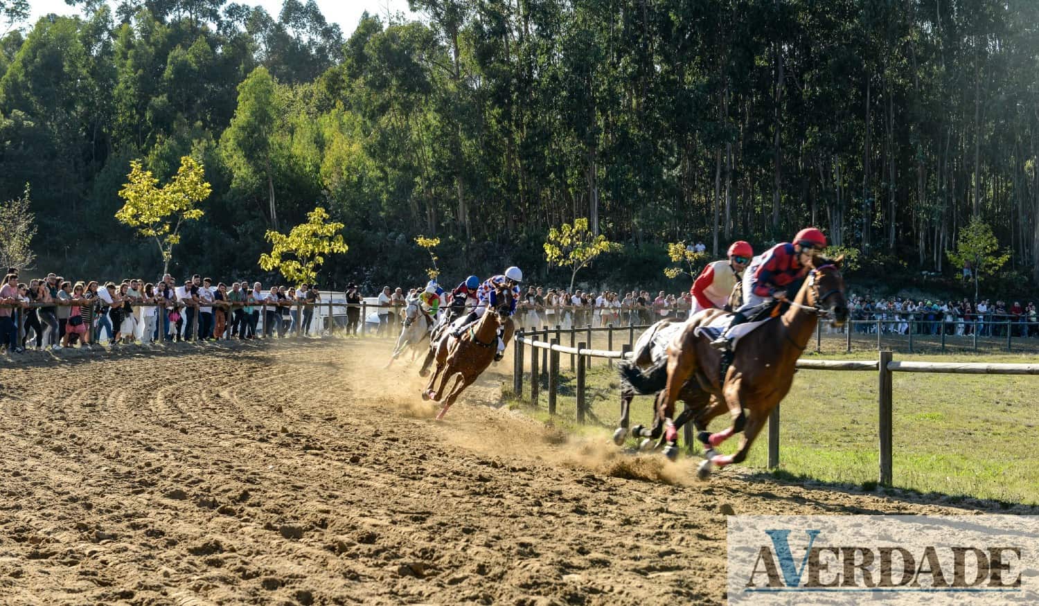 Hipódromo municipal de Celorico de Basto acolheu corrida de cavalos