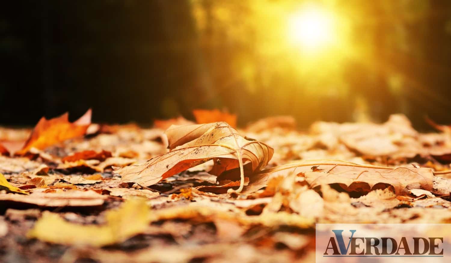 Fim de semana com temperaturas amenas na região