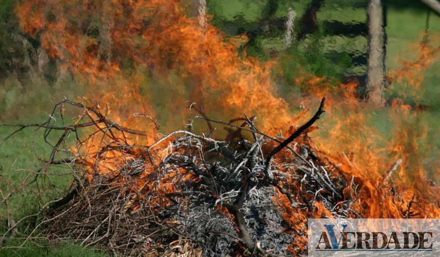 Proteção Civil recorda que "queimas e queimadas não estão permitidas" apesar da descida da temperatura