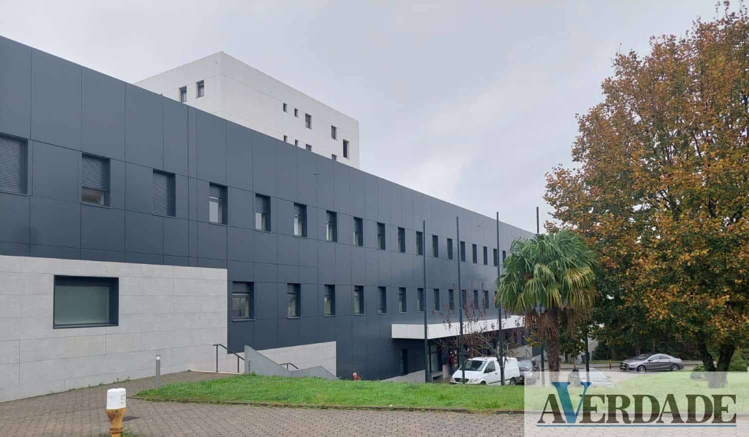 Futura ULS do Tâmega e Sousa com 48 novos médicos em formação específica