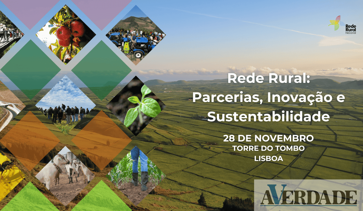Rede Rural Nacional vai debater "perspetivas futuras" no setor agrícola 