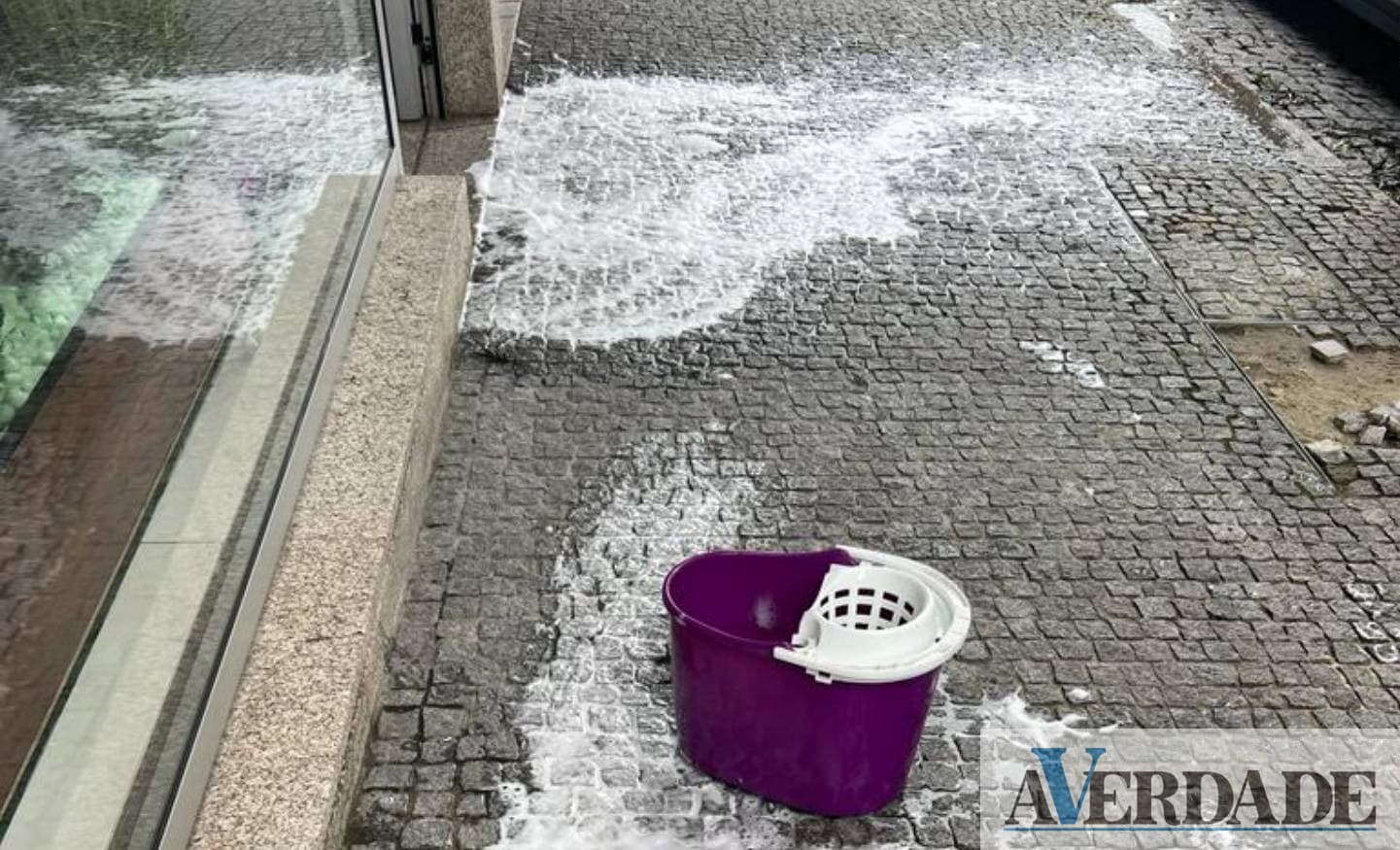 Marco: Lojistas queixam-se da falta de cuidados higiénicos com os animais de companhia na rua