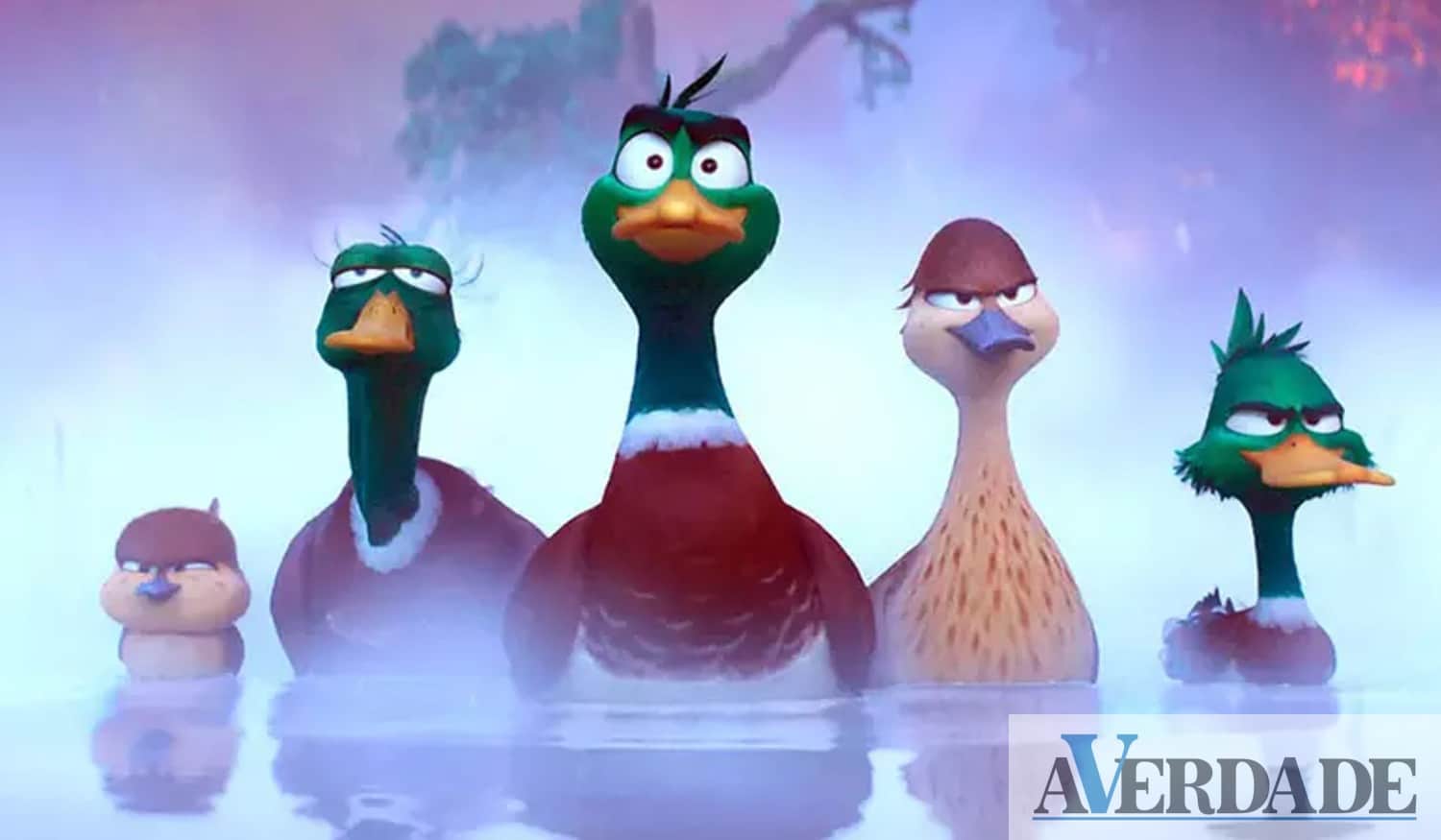 "Patos" em estreia no Cinemax Penafiel