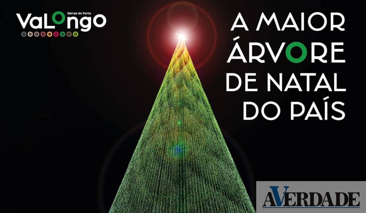 Município de Valongo vai acender maior Árvore de Natal do país em Ermesinde