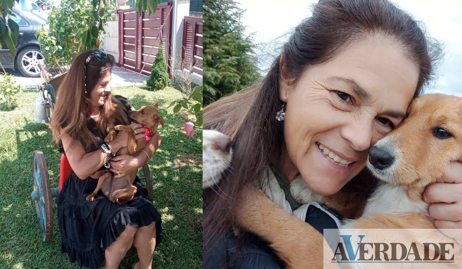 O Cantinho da Zé acolhe cerca de 40 cães: "Acho que quem não tem animais não é feliz"