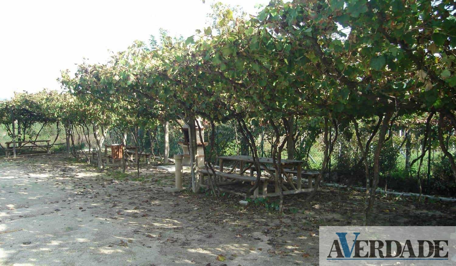 Lousada: Ciência no Parque regressa com "O Génio da Matemática"
