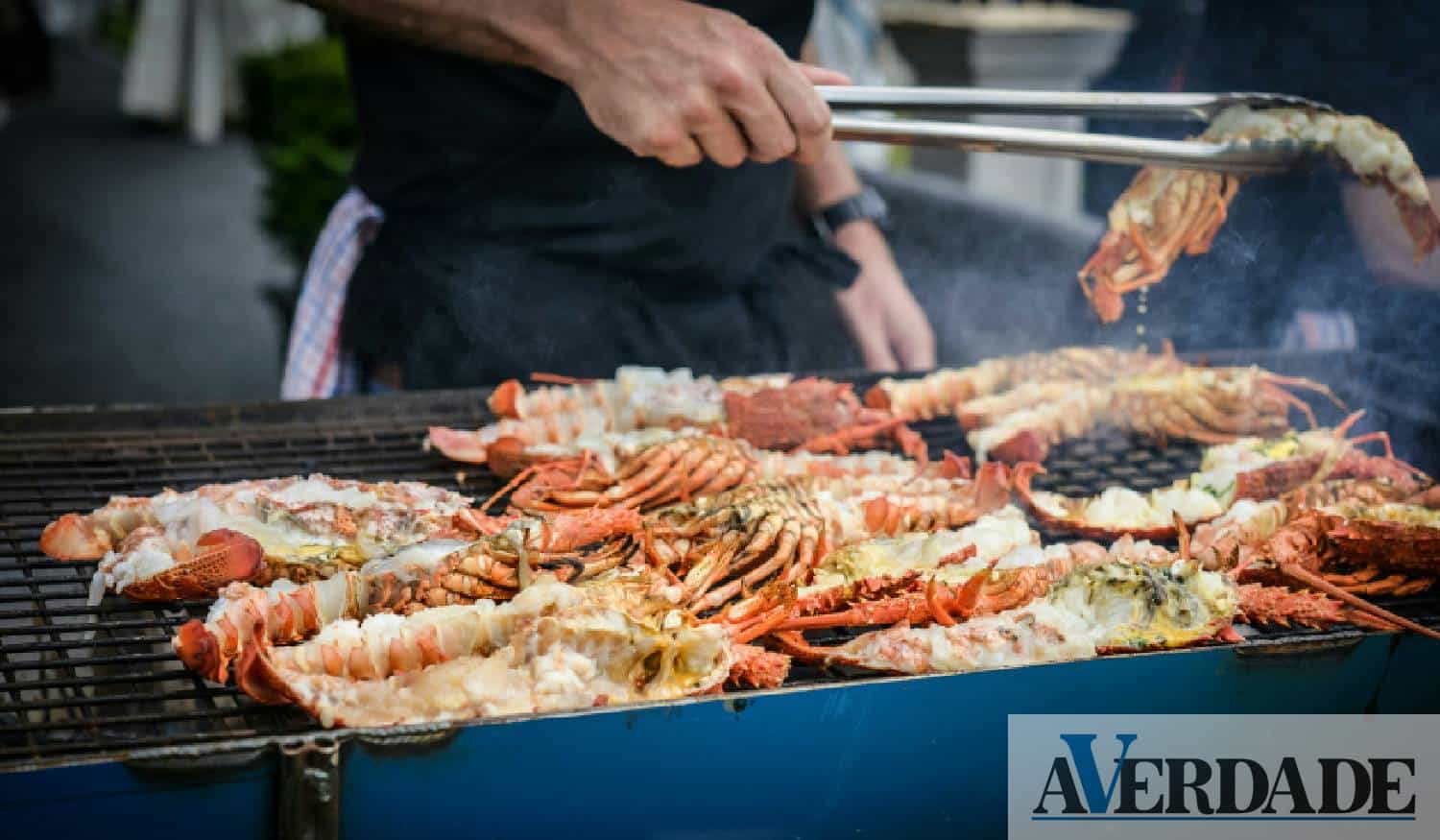 Degustar Matosinhos: Edição marisco traz o melhor do mar às mesas da cidade