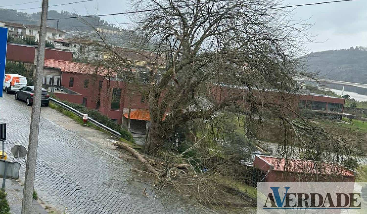 Depressão Karlotta provoca queda de árvores em Marco de Canaveses