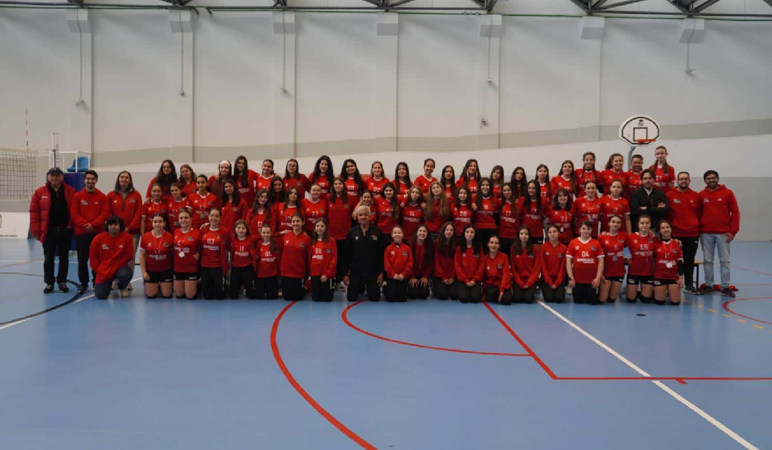 Secção de Voleibol da Casa do Benfica do Marco passou de quatro para 80 atletas num ano