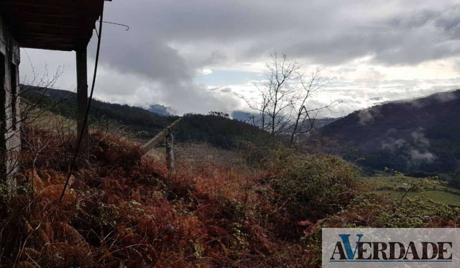 Governo prolonga prazo para limpeza de terrenos até ao final do mês de maio