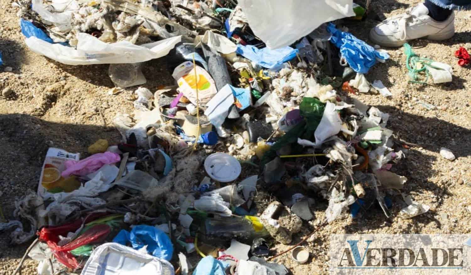 Estudantes do Porto recolheram cerca de 30 kg de lixo na praia do Homem do Leme