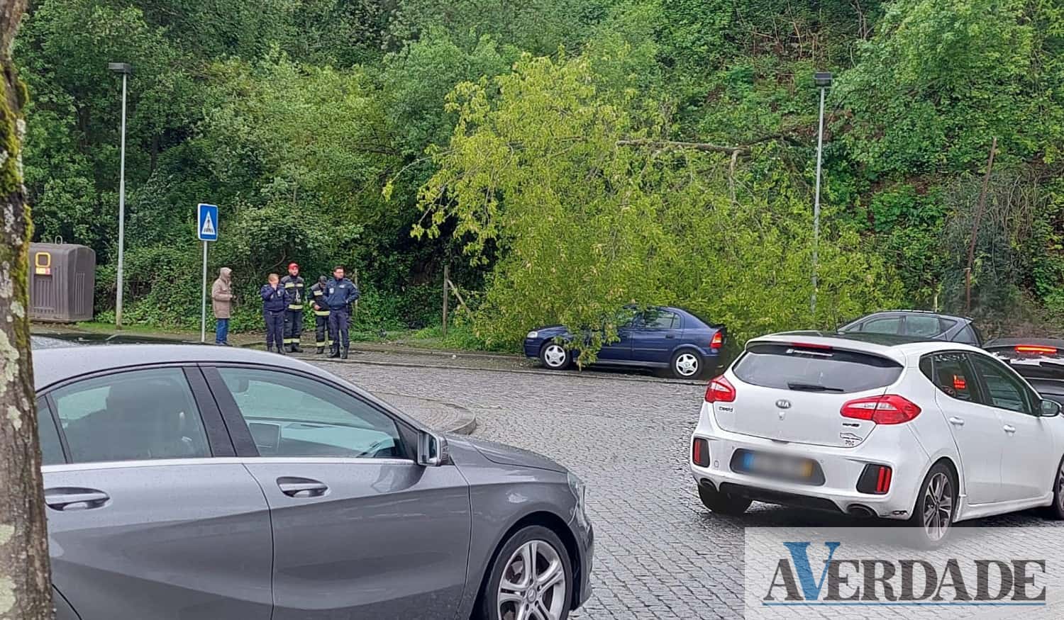 Queda de árvore danifica viatura em Marco de Canaveses