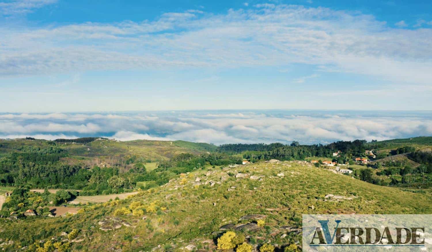Publicado em Diário da República regulamento de Gestão da Paisagem Protegida Regional da Serra da Aboboreira