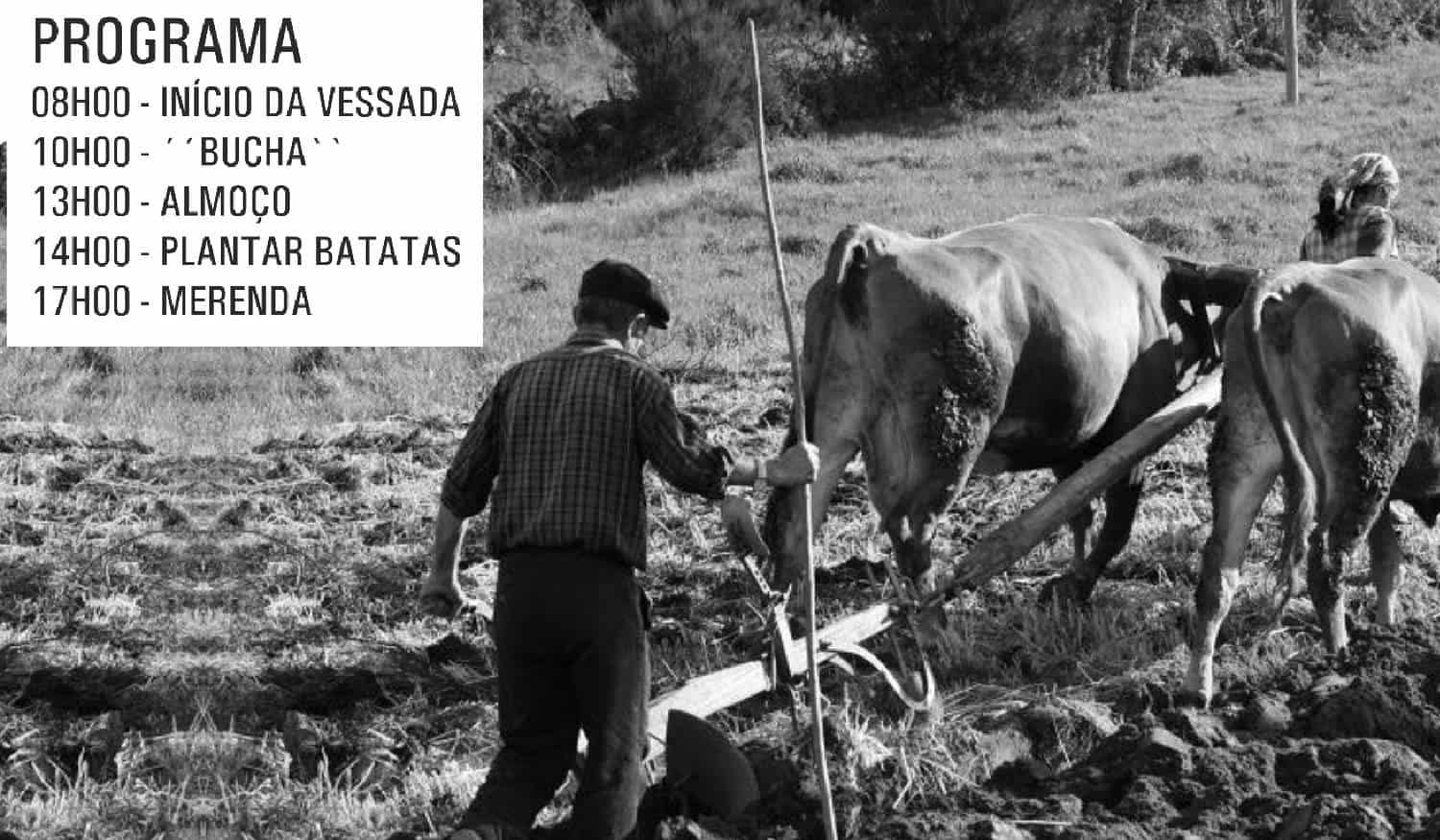 Resende: União de Freguesias de Felgueiras e Feirão promove III Vessada Comunitária à moda antiga