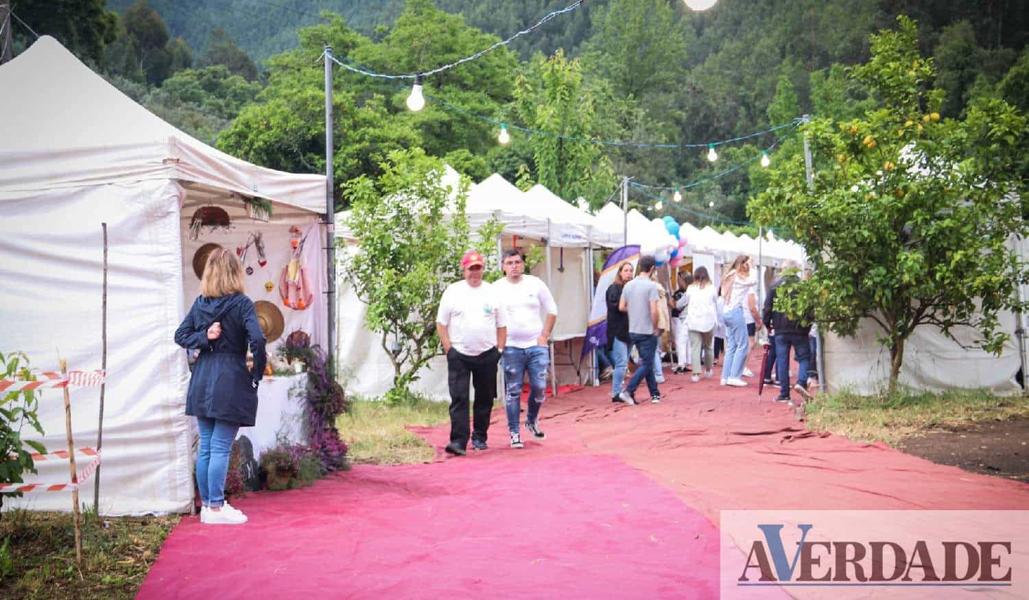 Castelo de Paiva: Largo do Conde acolhe 17.ª Feira Social