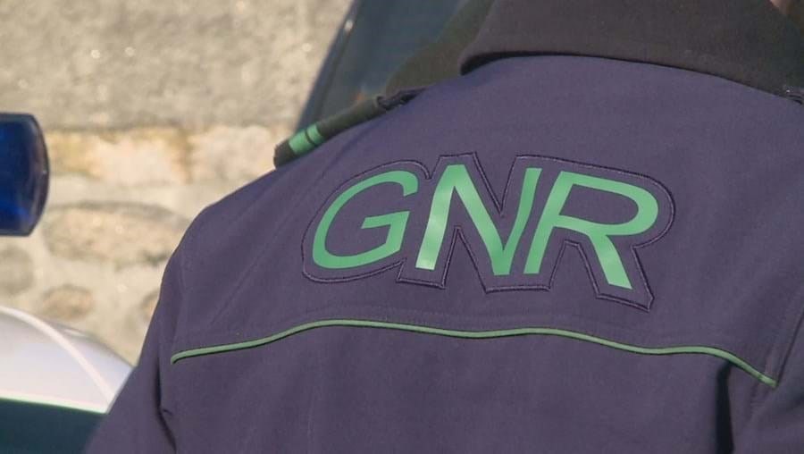 Onze detidos por tráfico de droga no Grande Porto e Braga