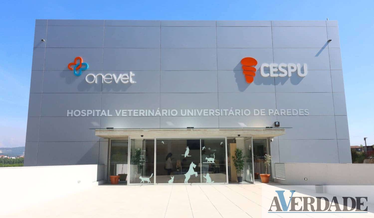 Hospital Veterinário Universitário da CESPU vai garantir aos alunos um ensino em "ambiente real"