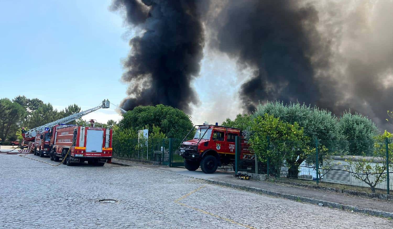 Marco de Canaveses: Incêndio na fábrica de armazenamento de fruta encontra-se em fase de rescaldo