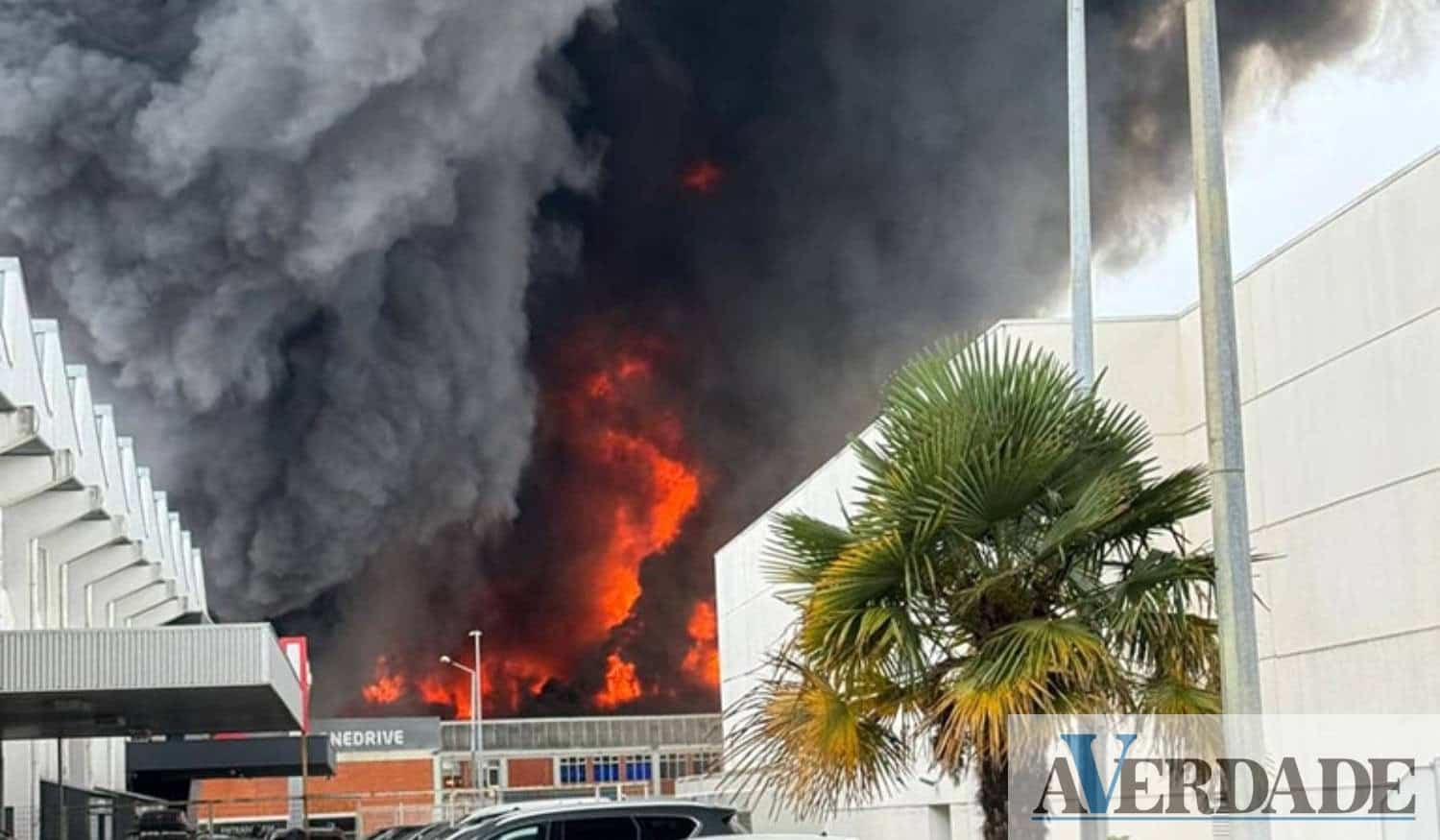 Incêndio deflagrou no centro de automóveis Auto Sueco no Porto