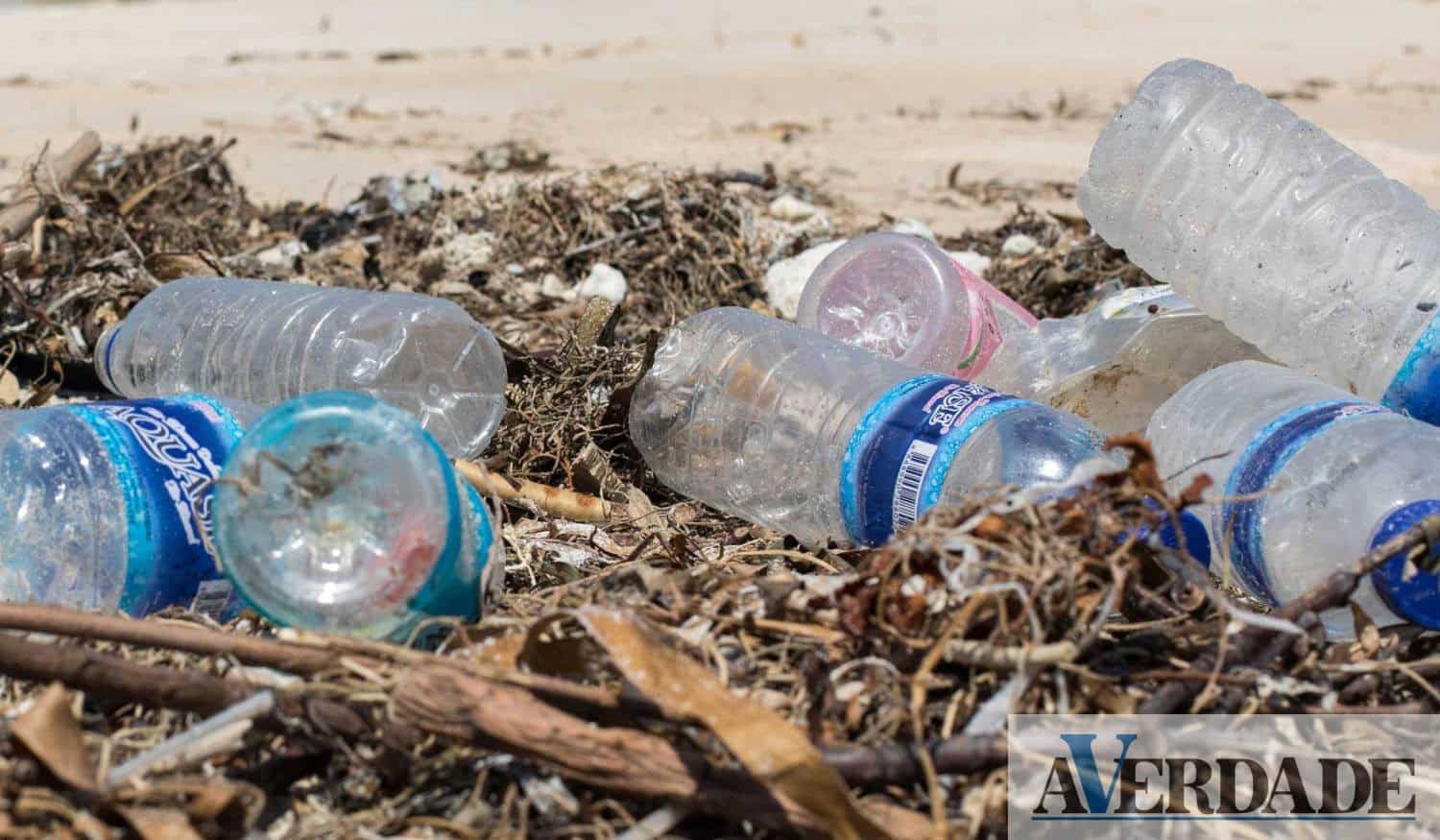 Paços de Ferreira: #EUBeachCleanup promove ação de limpeza no concelho 