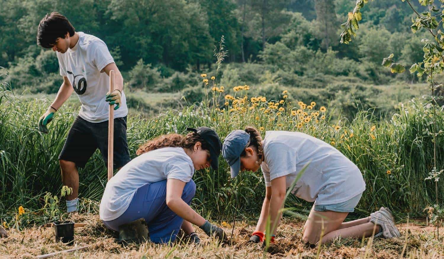 Programa 'Plantar Lousada' quer plantar 150 mil árvores no concelho até 2025