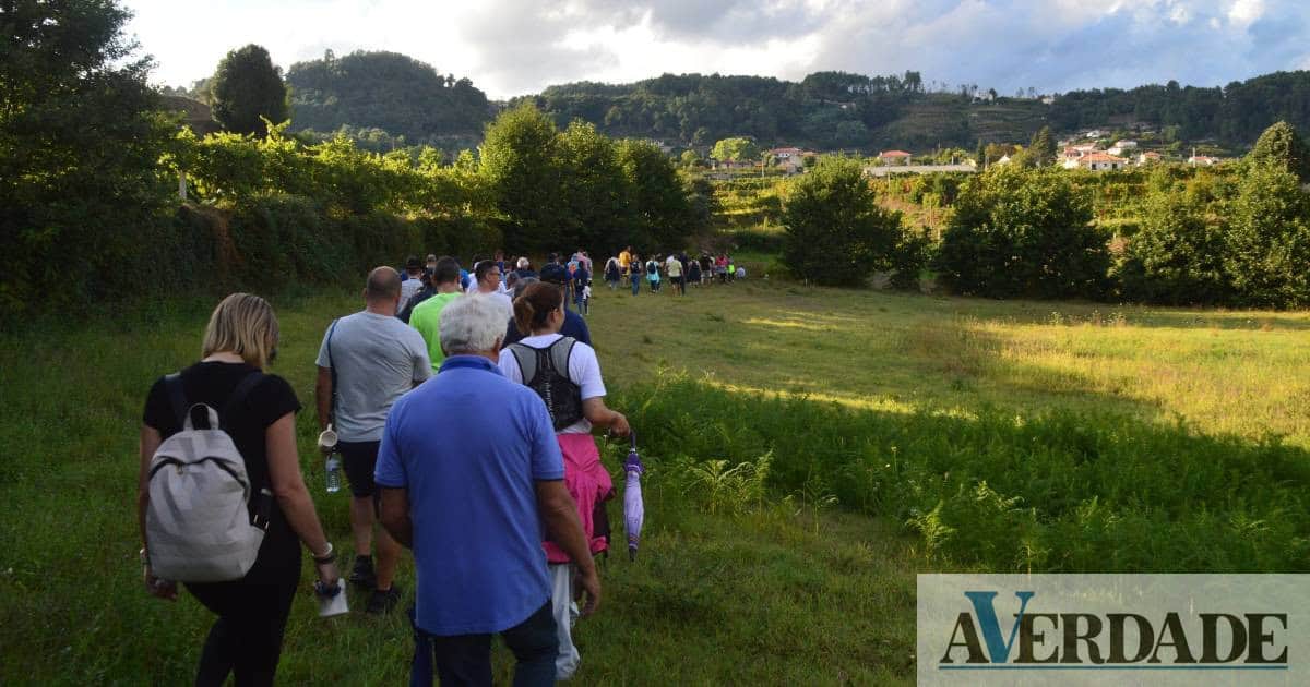 Festa do Vinho Verde de Gatão regressa a Amarante com vinhos e petiscos das vindimas