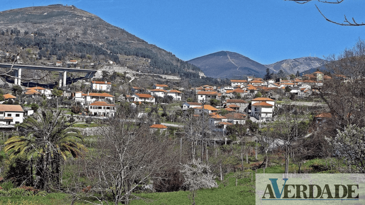 Amarante: "Festa do Trigo de Cantos" vai animar a freguesia de Candemil