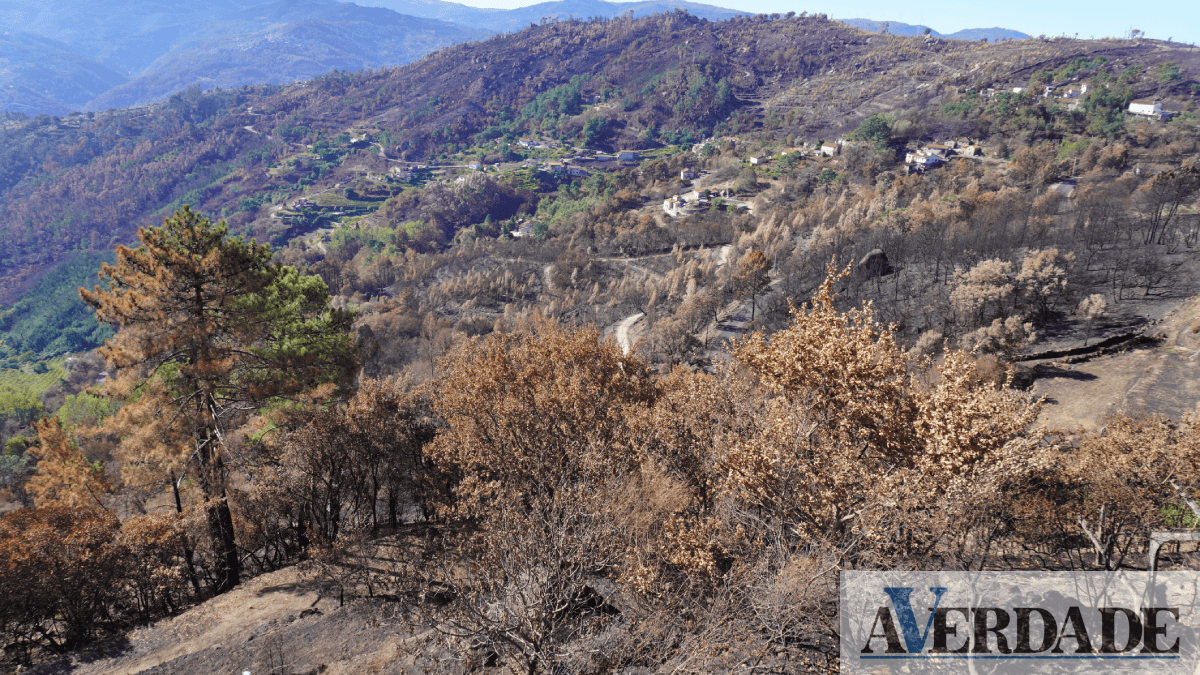 Município de Baião vai promover o seminário "Recuperação de Terrenos Pós-Incêndio"