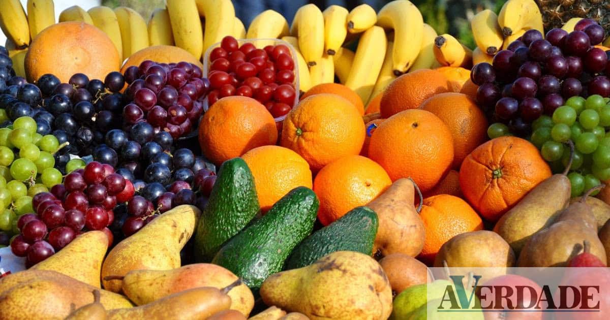DECO: Preço do cabaz alimentar volta a registar subida esta semana