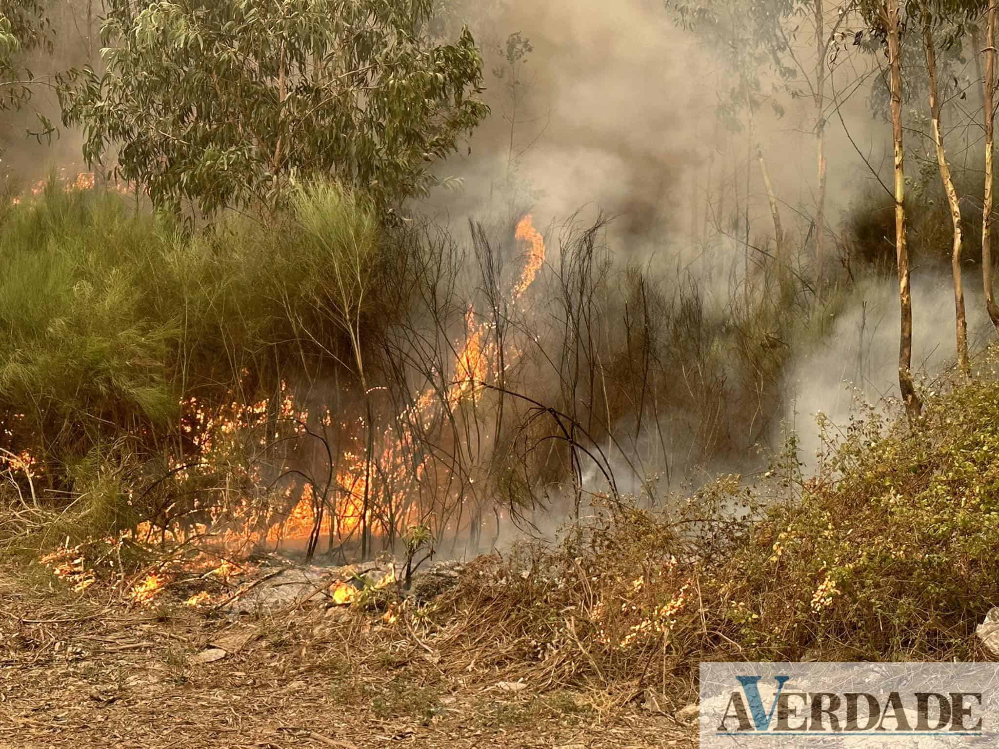 Penafiel: Incêndio em Oldrões encontra-se em rescaldo