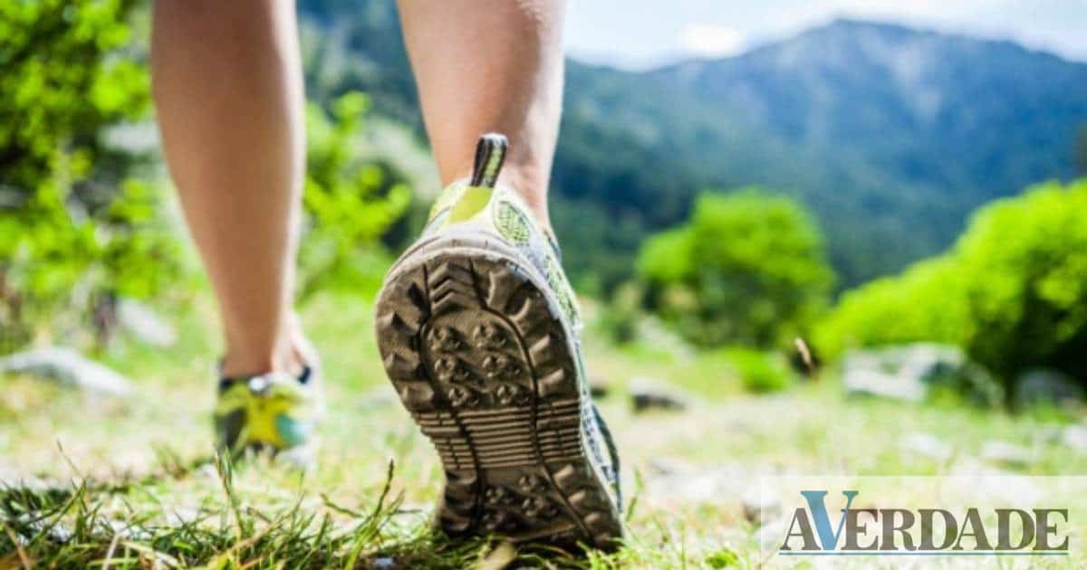 Cinfães vai acolher VI Trail do Rio Paiva com quase 700 atletas