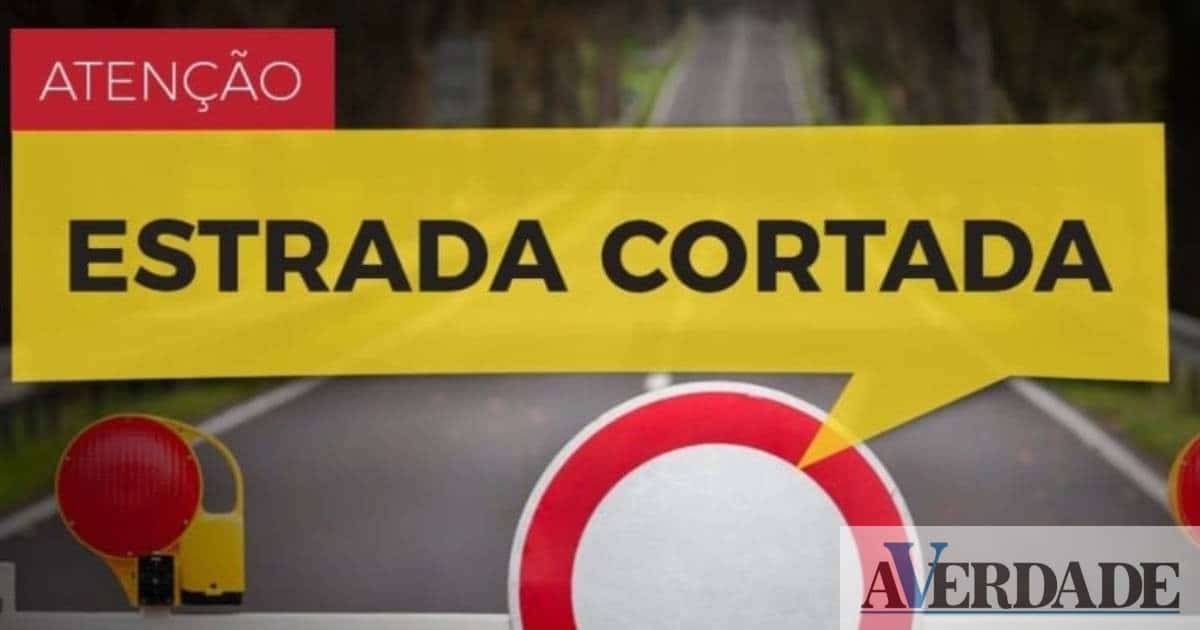 Várias estradas cortadas em Cinfães devido aos incêndios e trabalhos de limpeza