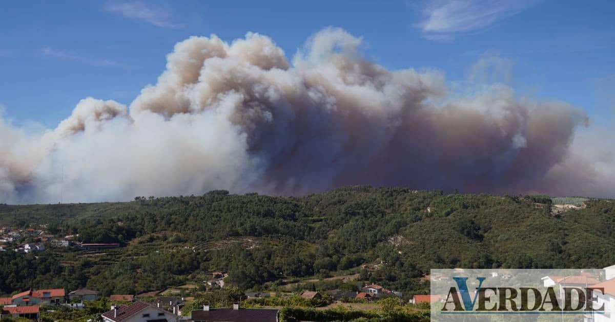 Incêndio em Baião está a tomar "grandes proporções". Duas estradas estão cortadas