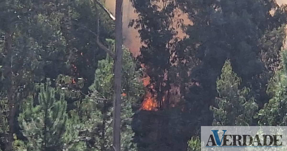 Paredes: Acionados cerca de 17 viaturas para incêndio em Lordelo e Vilela