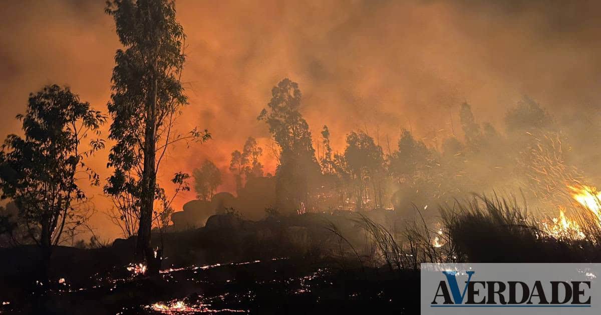 Conheça as medidas de apoio às famílias e empresas afetadas pelos incêndios