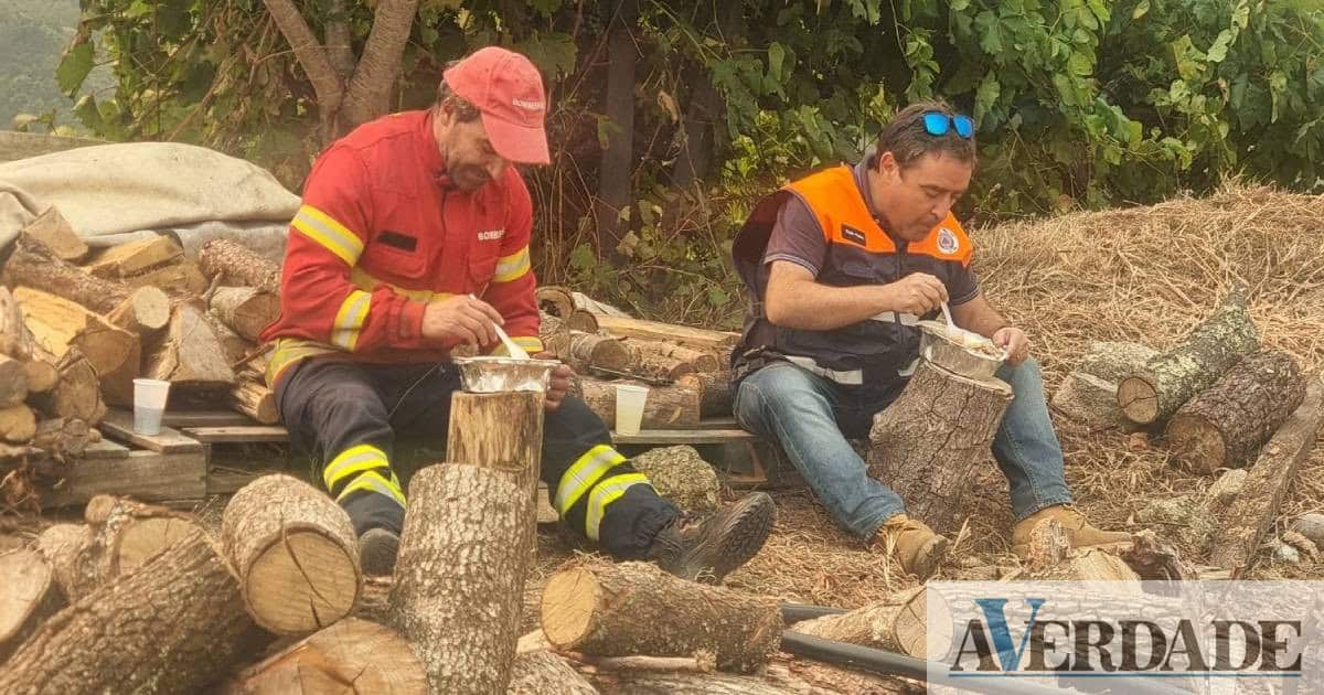 Presidente da câmara de Baião faz "desabafo" sobre os incêndios que assolaram o país