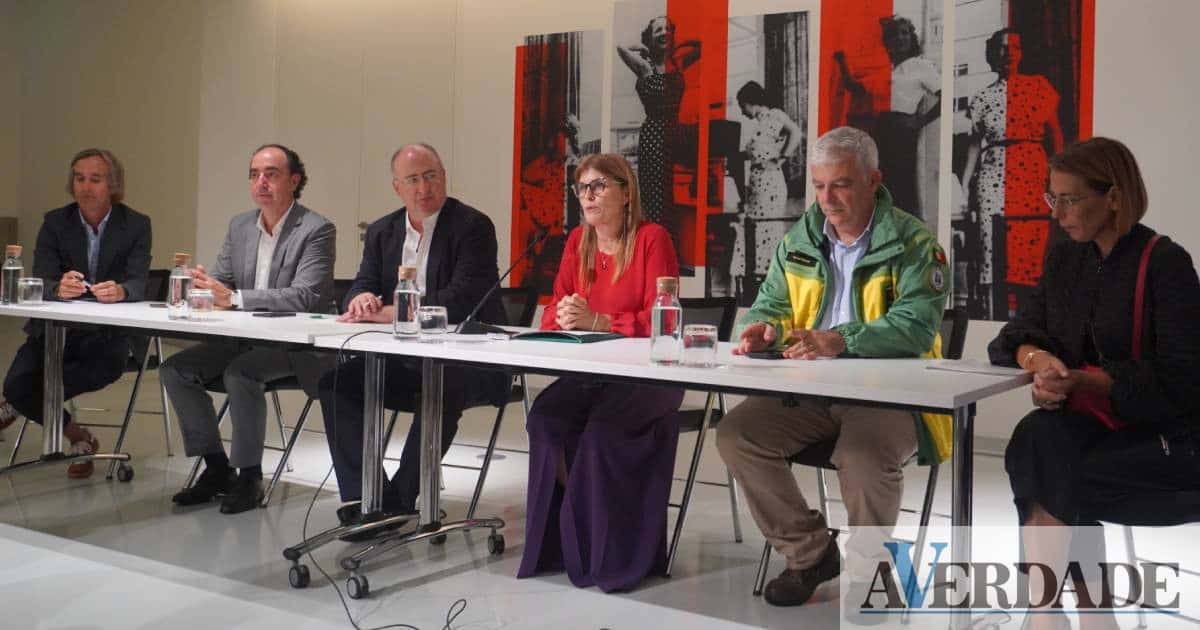 Ministro e secretário visitaram Marco de Canaveses após incêndios: "a agricultura e a floresta têm futuro"