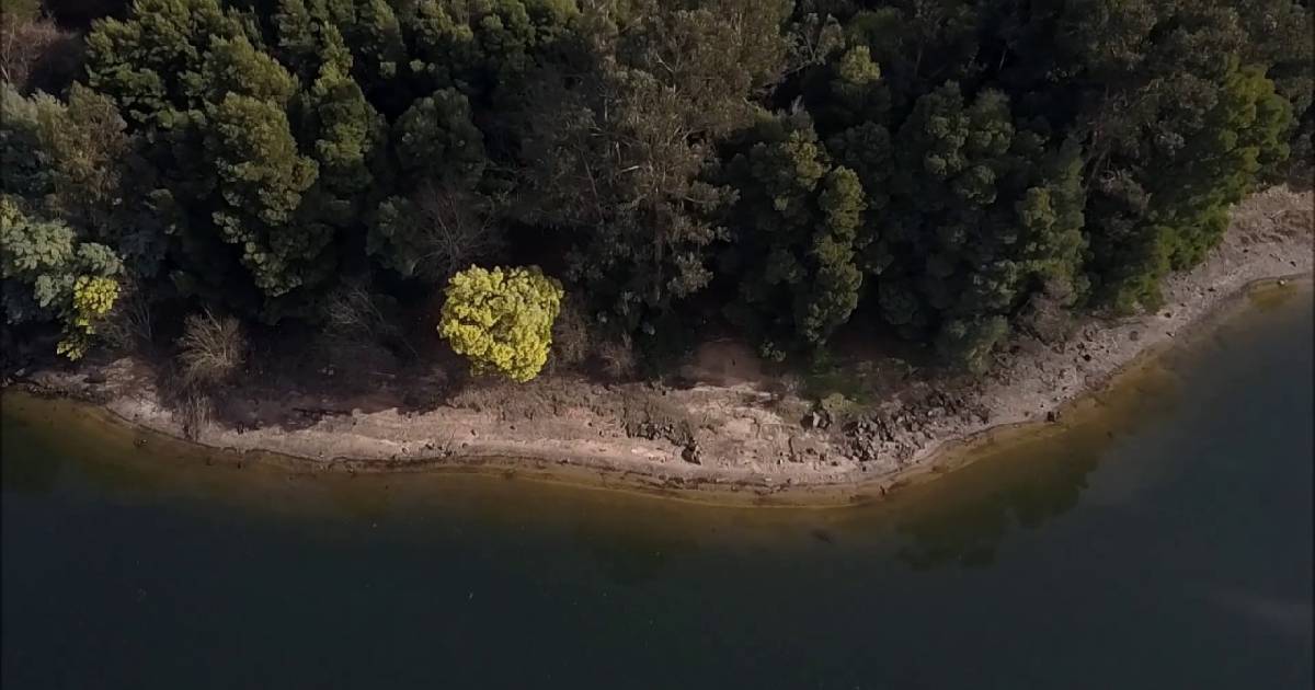 Dia Mundial dos Rios celebrado em Marco de Canaveses com apresentação do projeto da ecopista